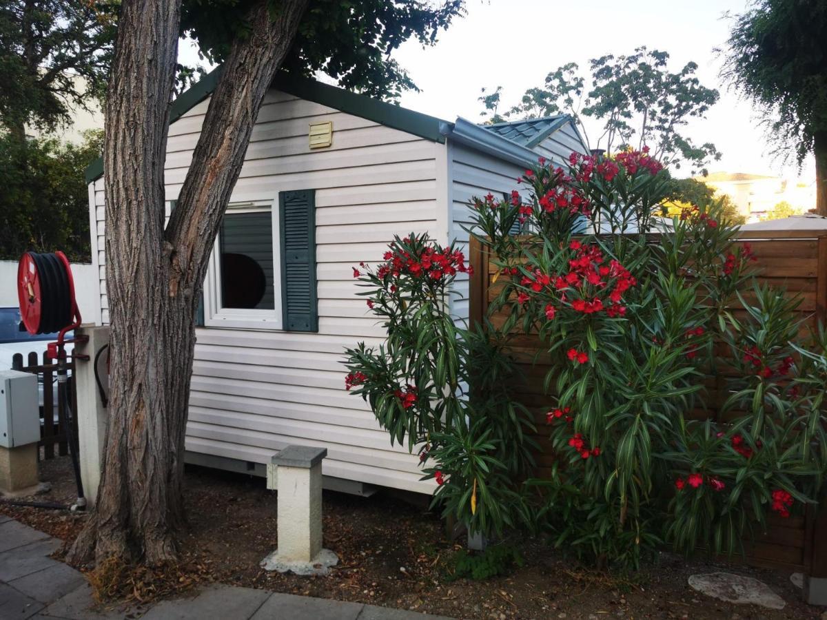 Mobil Home Bungalow 6 Personnes Villeneuve Loubet Plage Marina Baie Des Anges 外观 照片